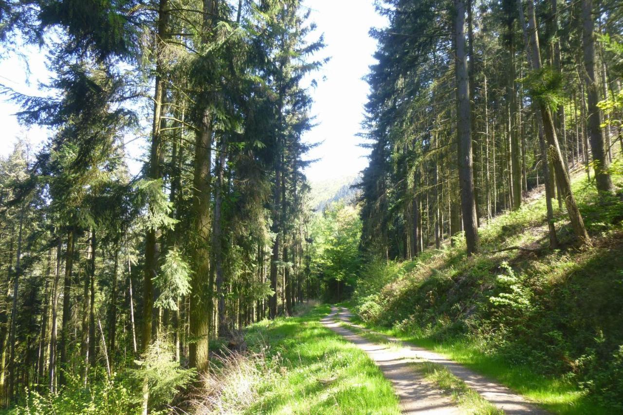 Moselschiefer Neu Ab Mai 2023 Apartment Traben-Trarbach Luaran gambar