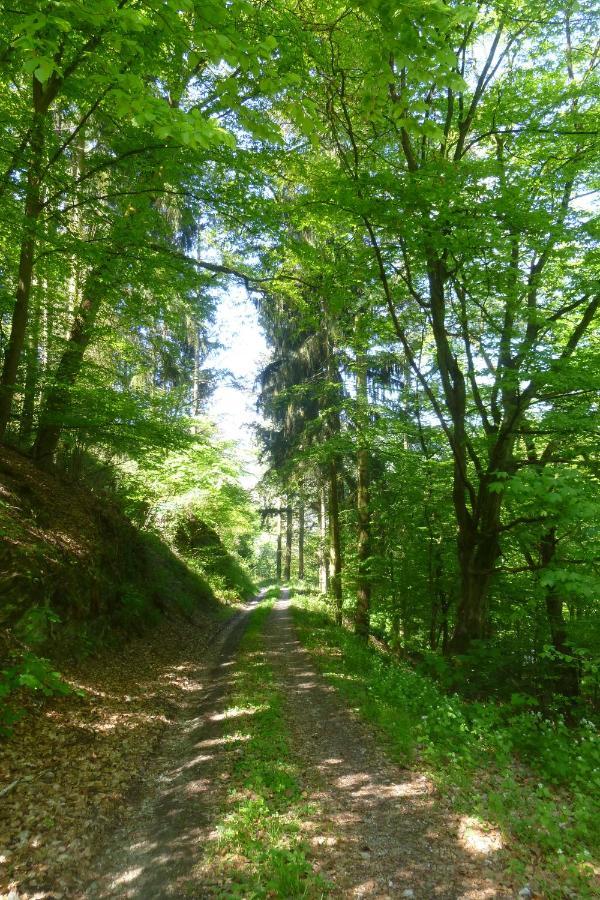 Moselschiefer Neu Ab Mai 2023 Apartment Traben-Trarbach Luaran gambar
